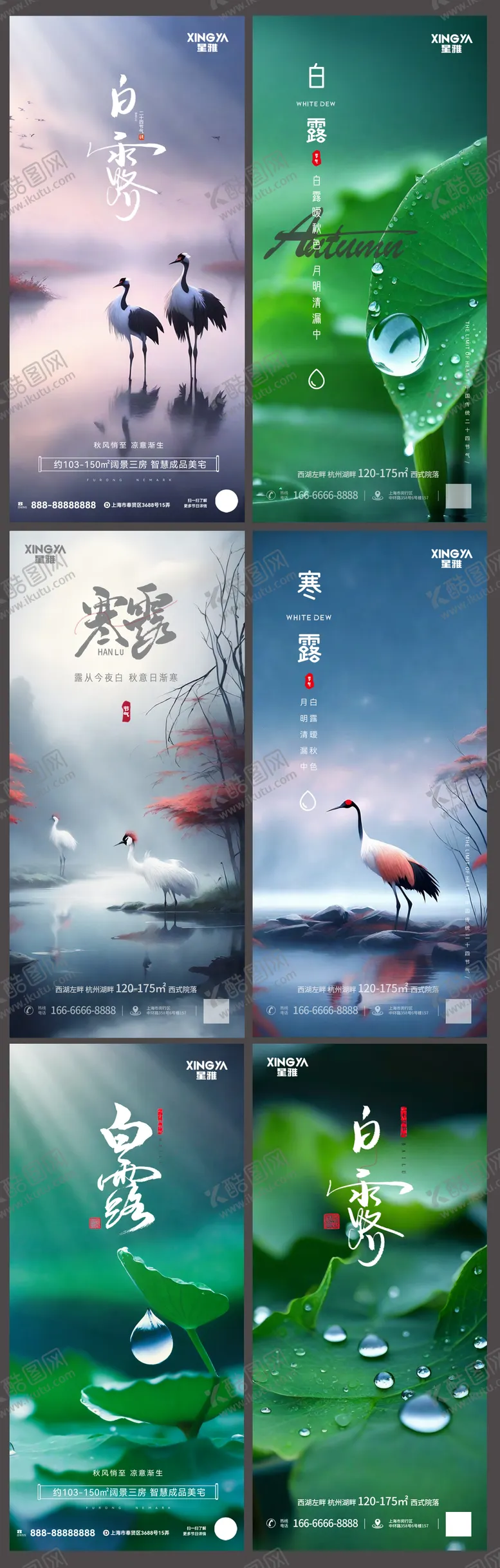 编号：32035511211326487676【酷图网】源文件下载-地产白露寒露节气意境海报