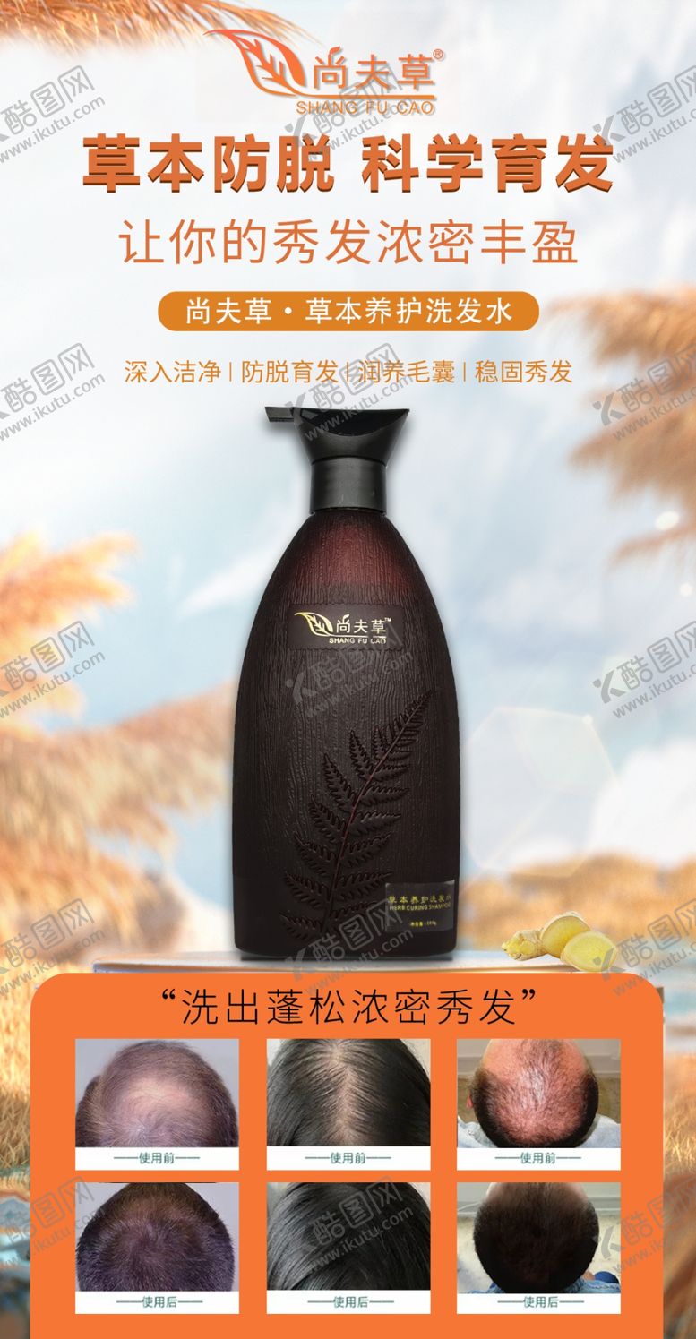 编号：99473901151328321067【酷图网】源文件下载-洗发水