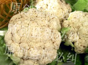 手绘菜花