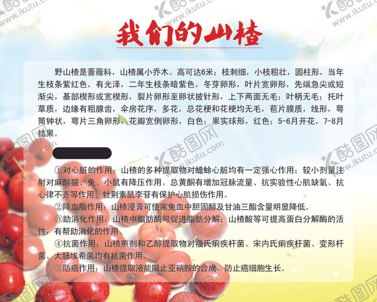 编号：14981007091158064696【酷图网】源文件下载-山楂