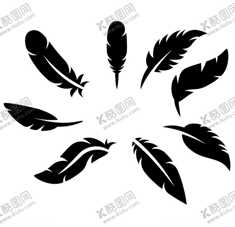 编号：17605206281342083365【酷图网】源文件下载-羽毛