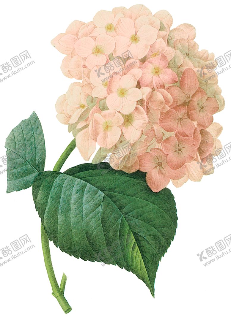 编号：75550910201520161203【酷图网】源文件下载-植物花卉油画装饰画