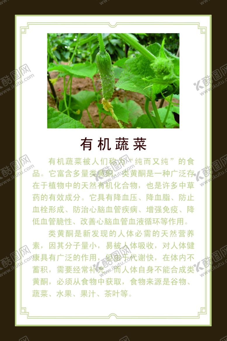 编号：70799809300252236000【酷图网】源文件下载-有机蔬菜