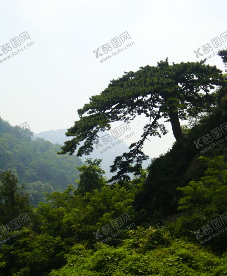 编号：33292411022032095774【酷图网】源文件下载-泰山