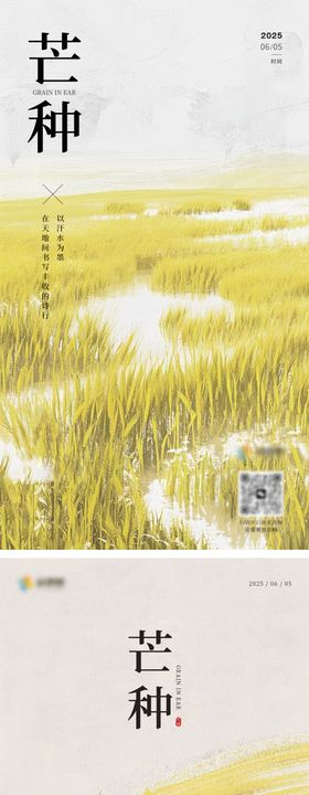 芒种海报