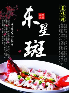 东星斑美食海报