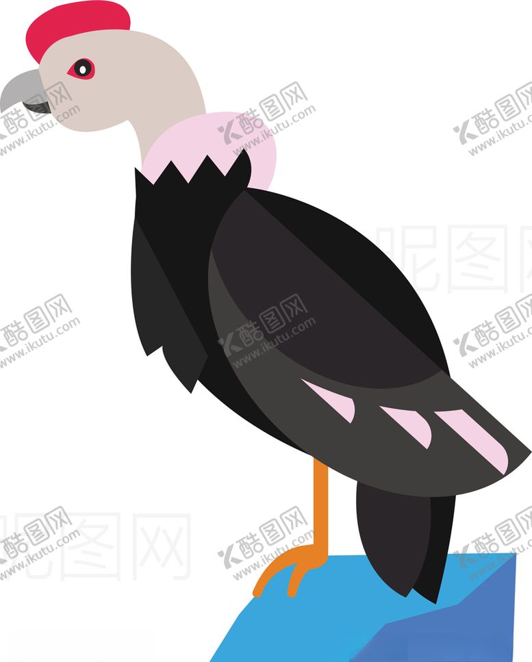 编号：12254505050807033623【酷图网】源文件下载-水鸟