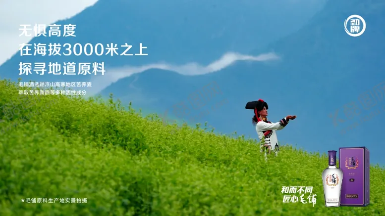 编号：39012806231807069368【酷图网】源文件下载-毛铺酒