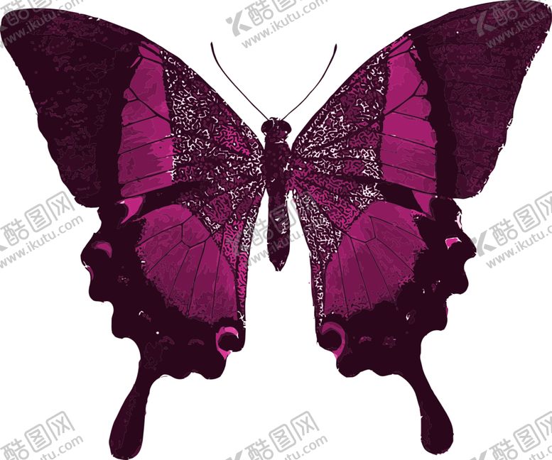 编号：83423809191923491443【酷图网】源文件下载-蝴蝶