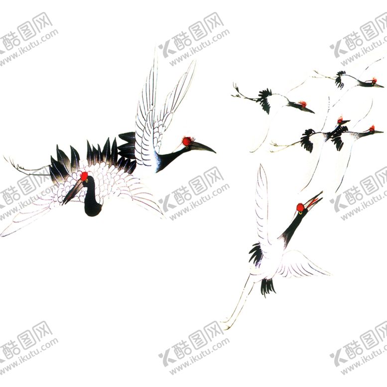 编号：55022910150537108152【酷图网】源文件下载-仙鹤