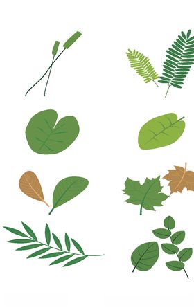 植物元素