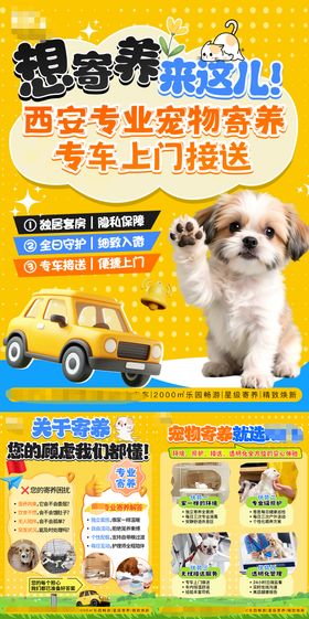 宠物游玩插画寄养系列海报