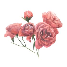 手绘花瓣
