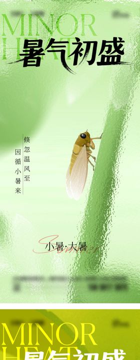 小暑大暑海报