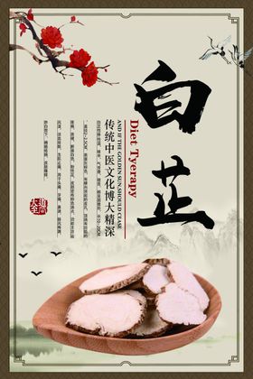 中医文化挂图