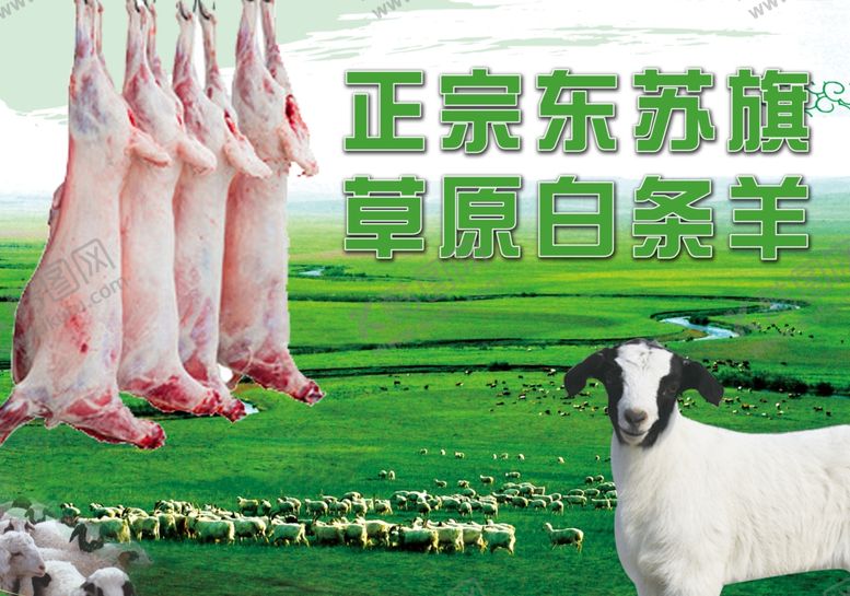 编号：96913301282123557912【酷图网】源文件下载-草原羊