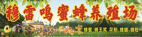 蜜蜂养殖场