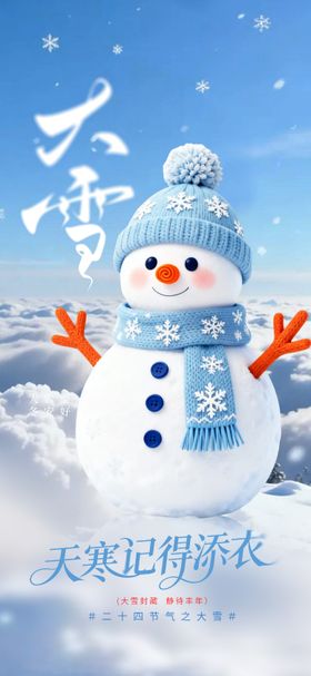 大雪海报