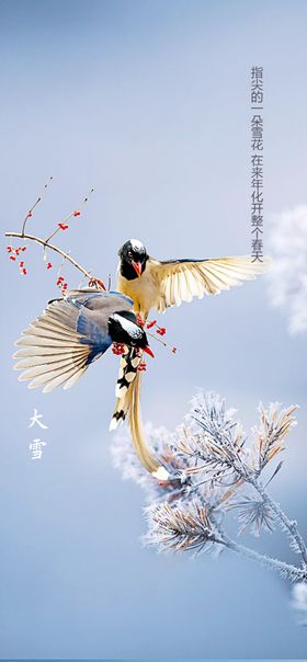 地产大雪海报节气二十四节气冬至小
