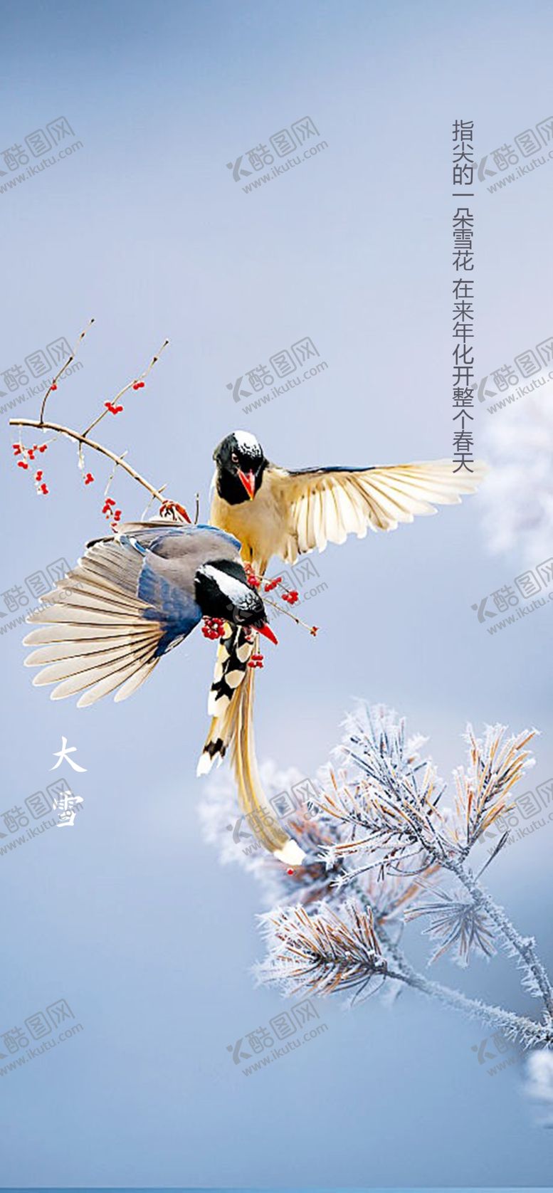 编号：65159806302130208707【酷图网】源文件下载-地产大雪海报