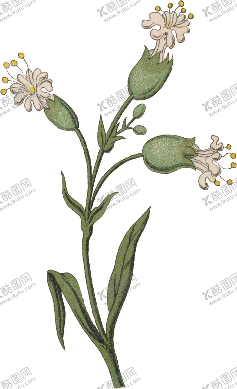 编号：46097909242121524096【酷图网】源文件下载-水彩画