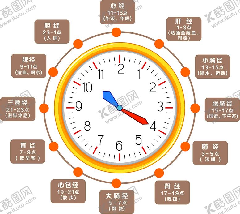 编号：40402801230437258917【酷图网】源文件下载-五脏六腑时间安排