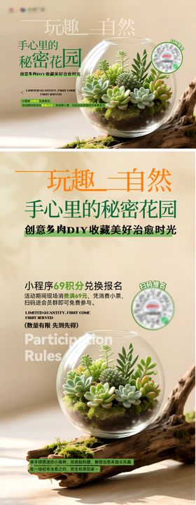 春天微景观多肉手作DIY