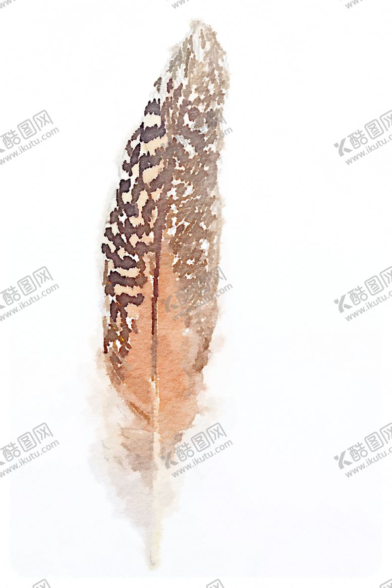 编号：24200603271707088985【酷图网】源文件下载-水彩插画鸟图案