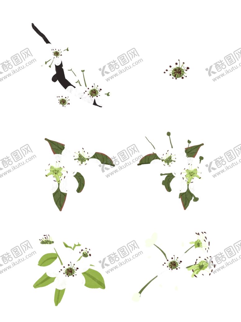 编号：98108810220544067560【酷图网】源文件下载-春天白色梨花盛开