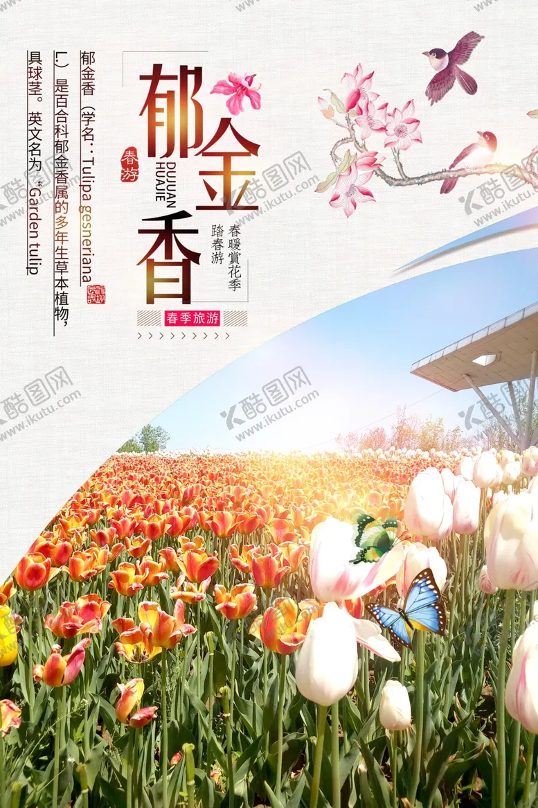 编号：57811405041543103833【酷图网】源文件下载-郁金香