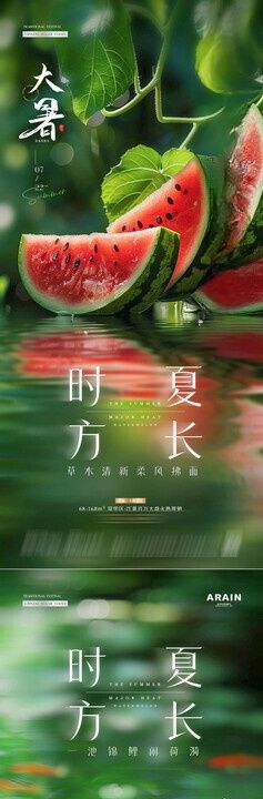 大暑处暑西瓜锦鲤海报
