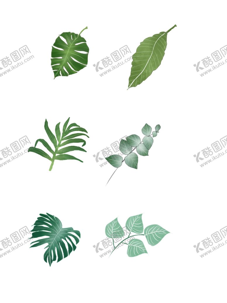 编号：21854906270744151375【酷图网】源文件下载-树叶素材