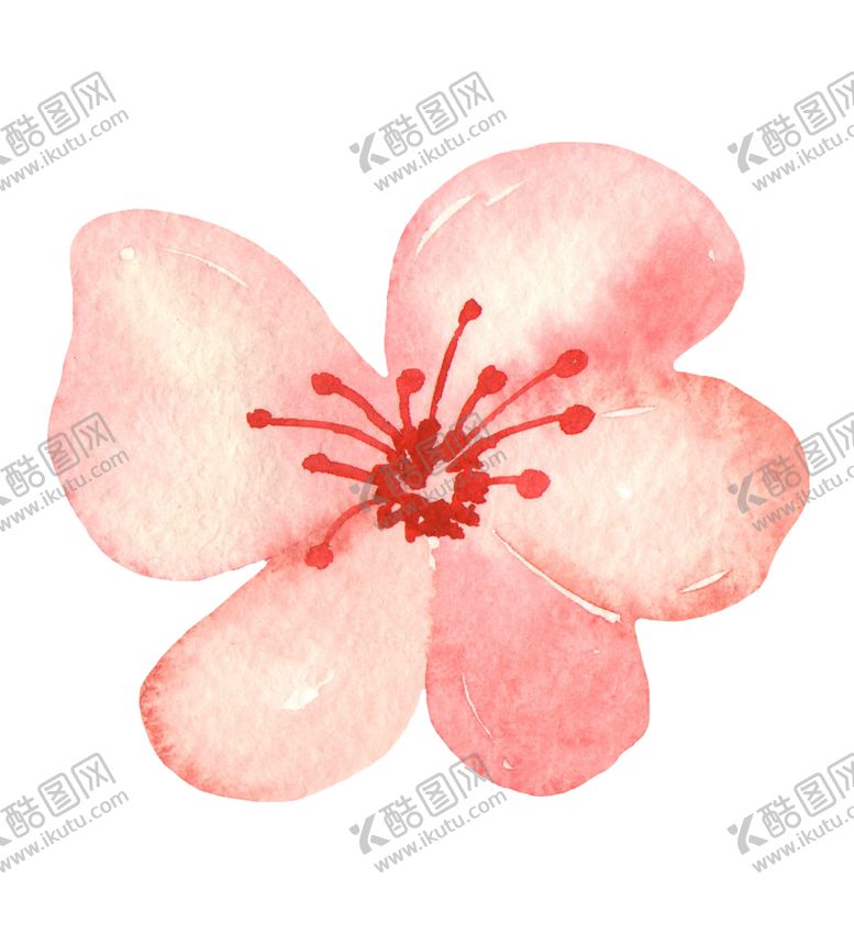 编号：30862710300140034497【酷图网】源文件下载-水彩绘画花朵