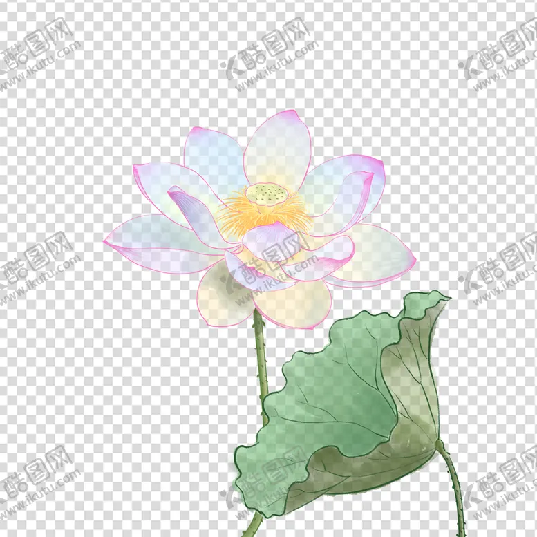 编号：54027309151626461250【酷图网】源文件下载-荷花 莲花 