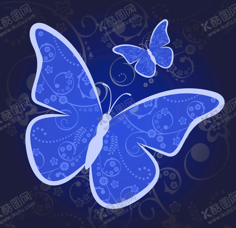 编号：54203404070429408887【酷图网】源文件下载-蝴蝶昆虫动物