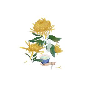 菊花素材