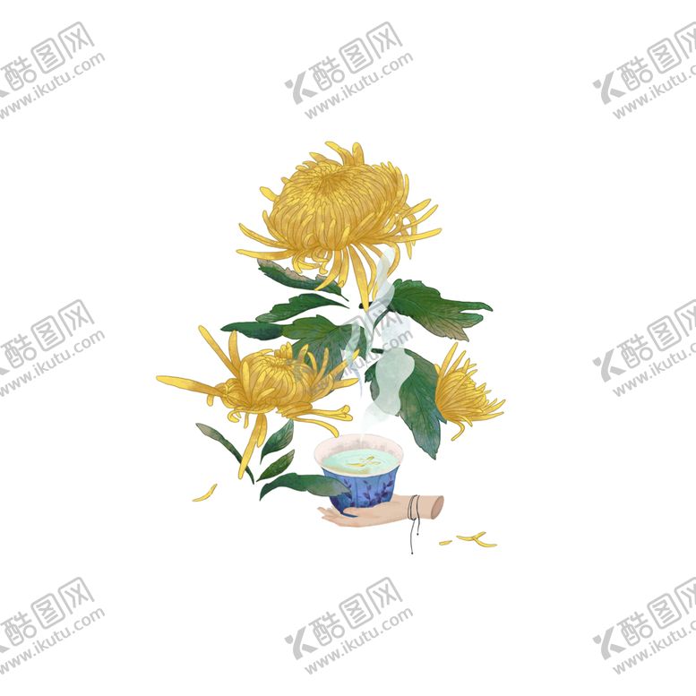 编号：73997406231834058183【酷图网】源文件下载-菊花素材