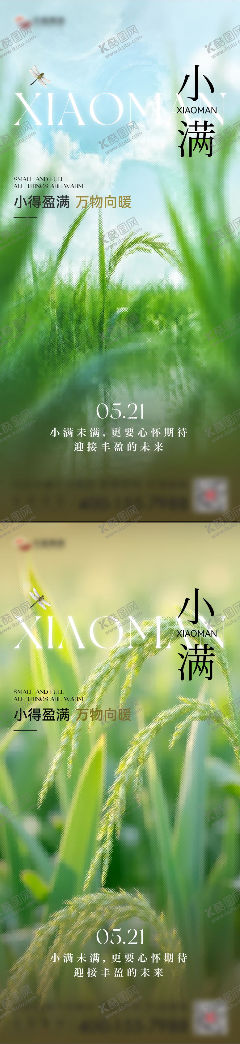 编号：13836705222324429428【酷图网】源文件下载-小满节气海报