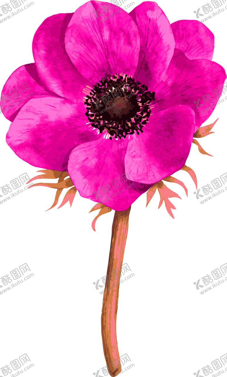 编号：50590209240535148810【酷图网】源文件下载-鲜花素材