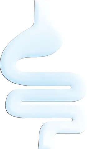 肠道