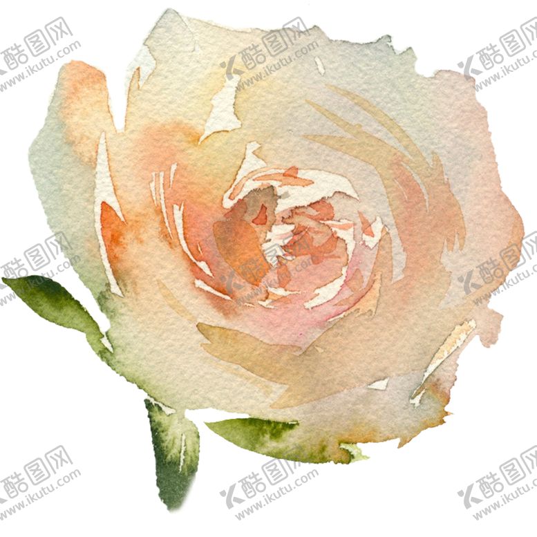编号：50912202122324484332【酷图网】源文件下载-免扣植物素材图片