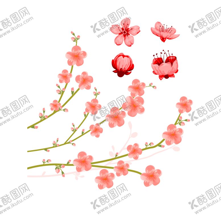 编号：26740309210808227062【酷图网】源文件下载-花素材