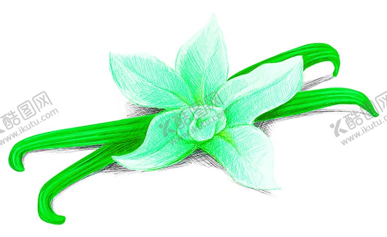 编号：28113209271945456966【酷图网】源文件下载-花素材