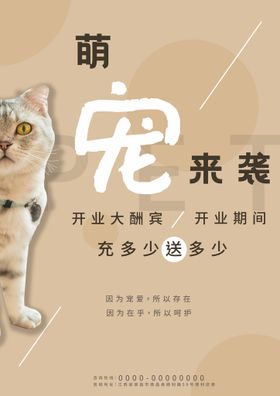 宠物寄养海报