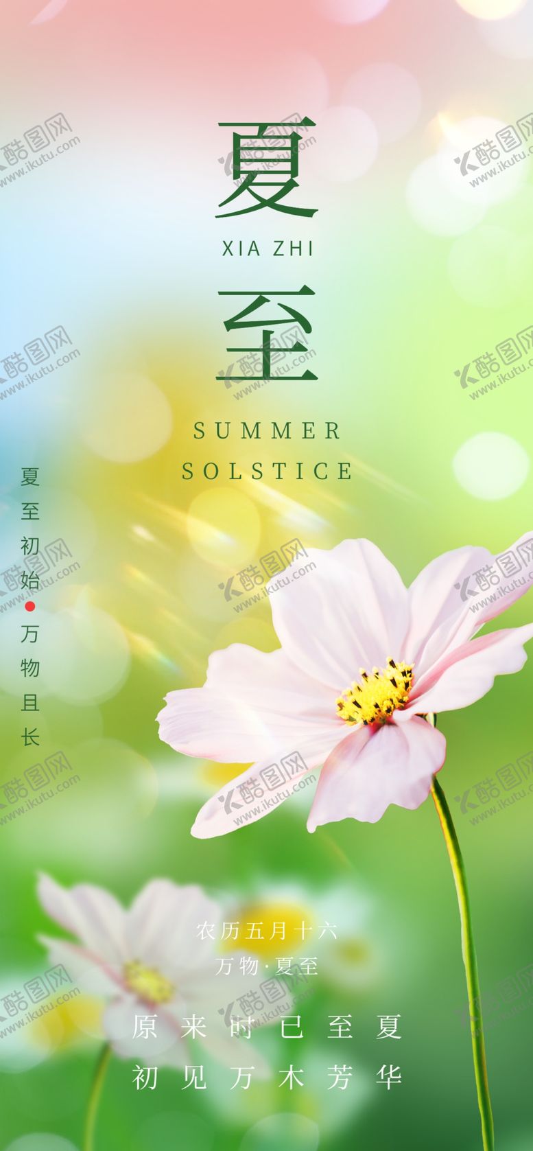 编号：90815202101116163874【酷图网】源文件下载-简约意境夏至节气启动页