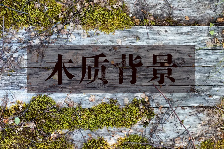 编号：32952811210434318726【酷图网】源文件下载-木质背景