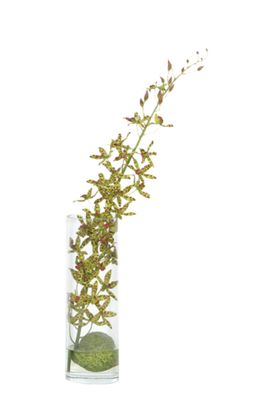 免抠背景花草树木
