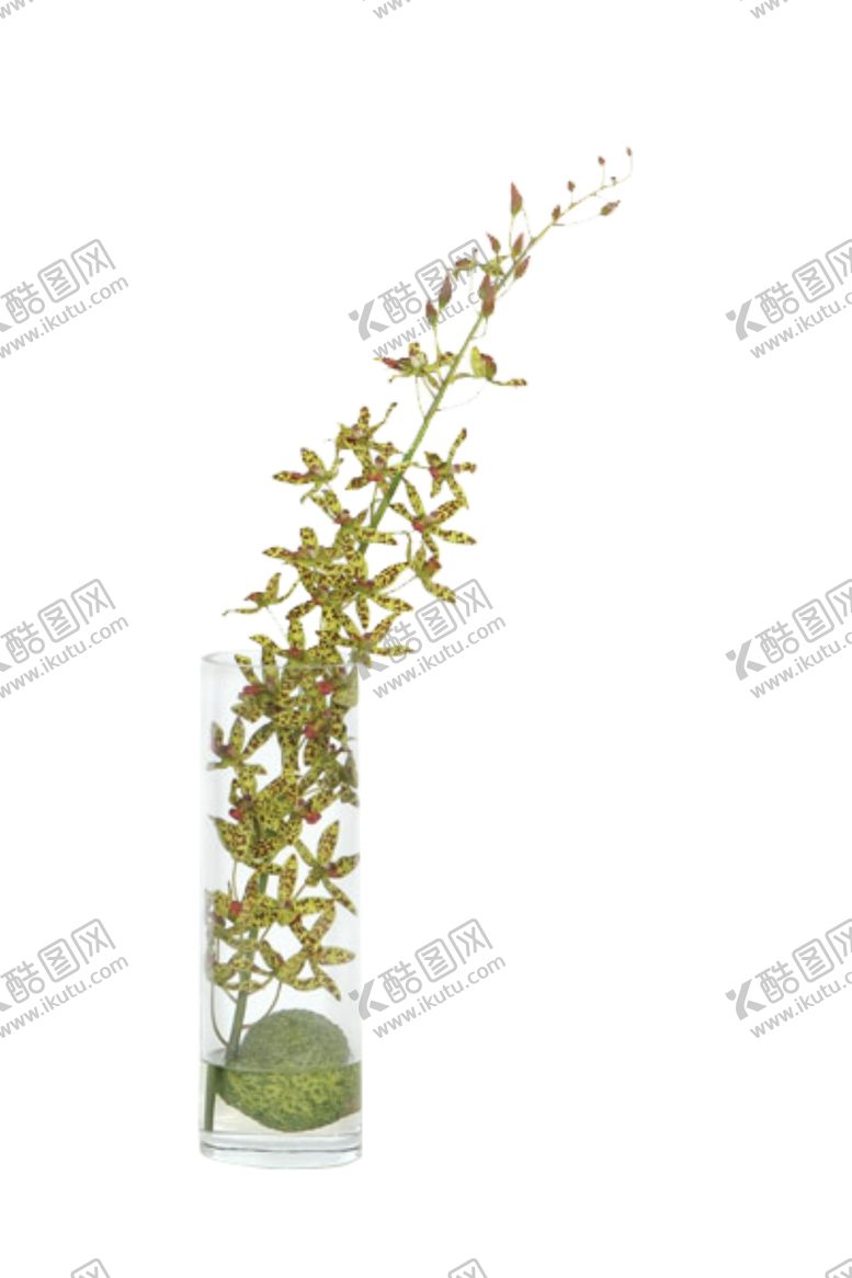 编号：19791906261508215432【酷图网】源文件下载-免抠背景花草树木