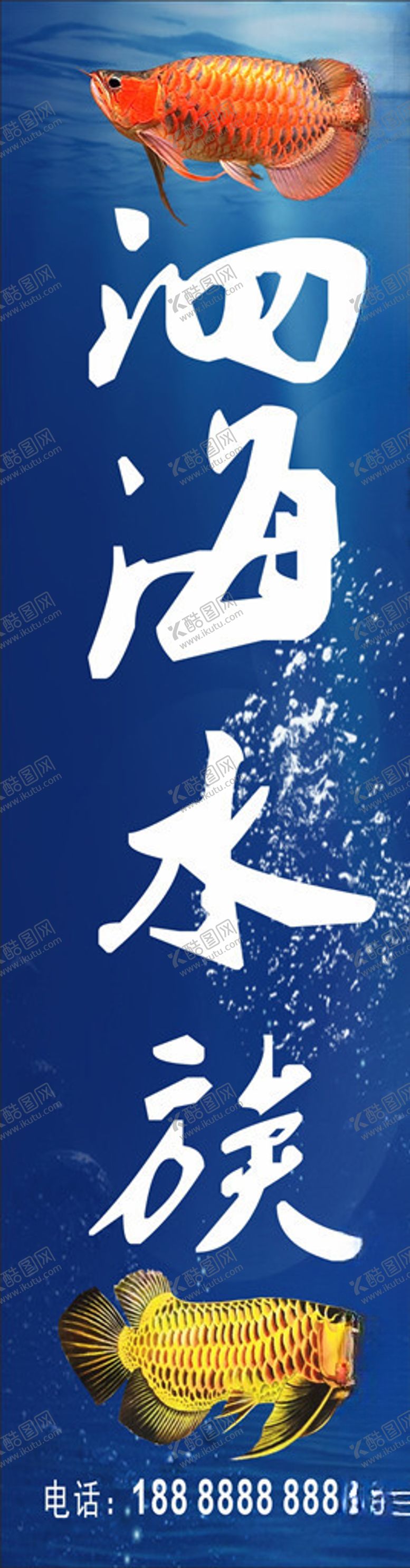 编号：52885910010833216159【酷图网】源文件下载-水族馆海报