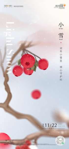 小雪海报